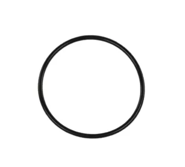 RacePort & Big Bubba flange O-Ring
