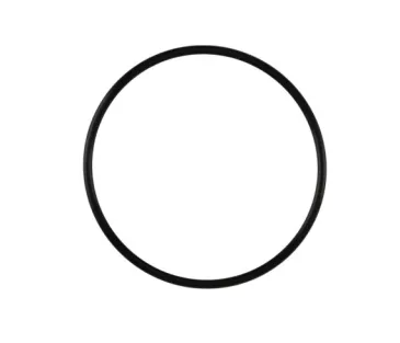PowerPort/ProPort Inlet Flange O-ring
