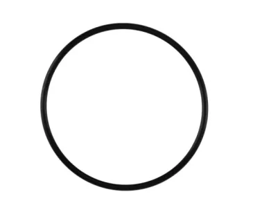 PowerPort/ProPort Inlet Flange O-ring