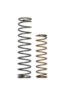 OLD Race Port Spring Kit