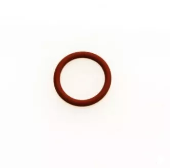 WG Valve Guide ‘O’ Ring