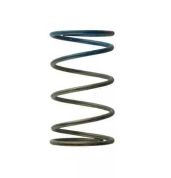 Gen4 IWG WG38/40/45/50L 10PSI OUTER SPRING – BROWN/BLUE