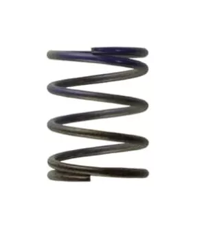 Gen4 IWG WG38/40/45/50L 7PSI MIDDLE SPRING – BROWN/PURPLE