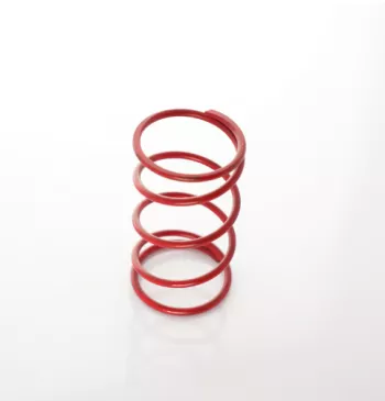 Precision GEN2 40MM Springs